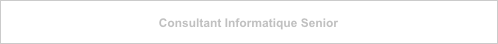 Consultant Informatique Senior